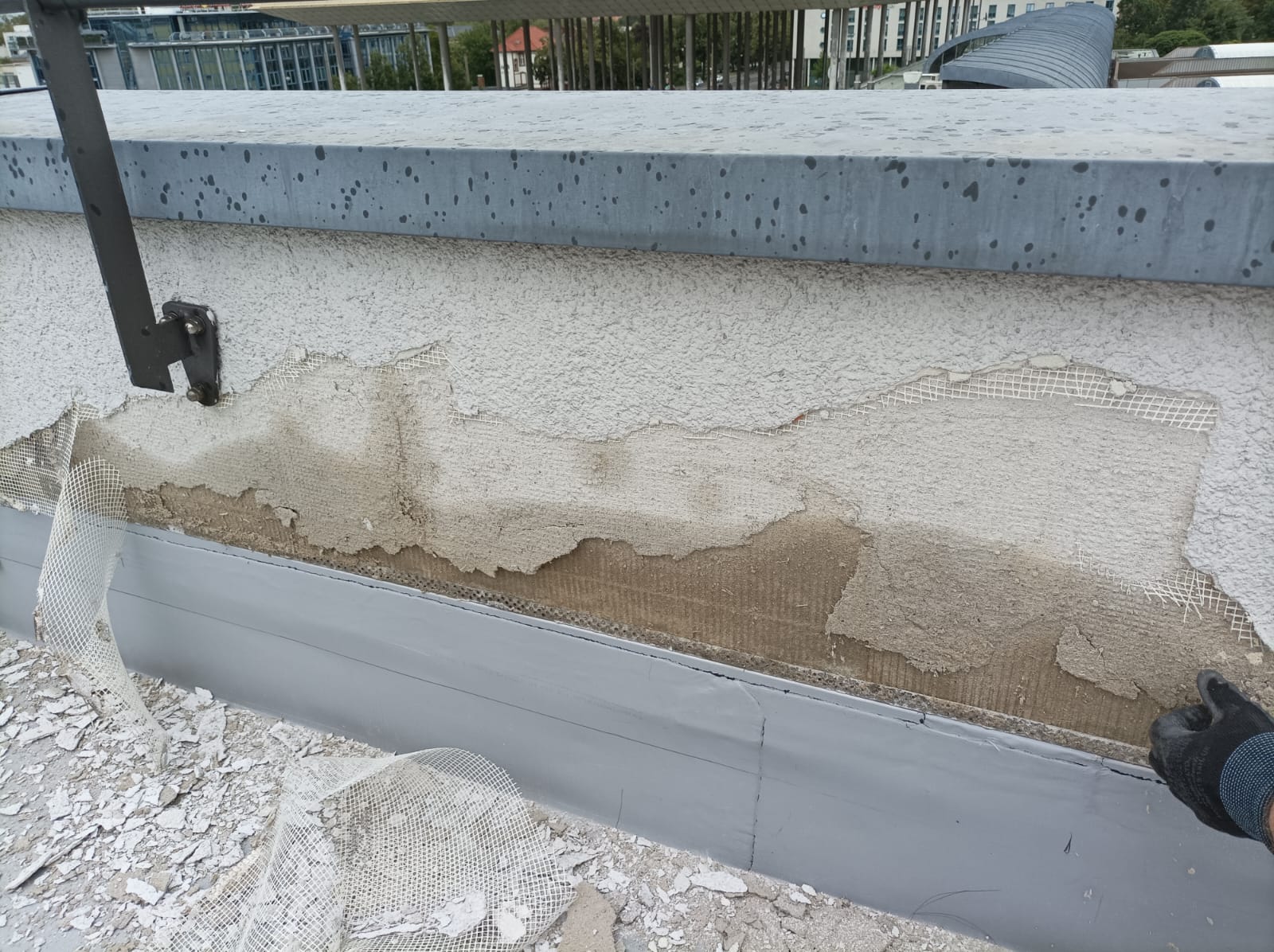 Schimmelsanierung